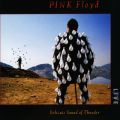 Ao - Delicate Sound of Thunder (Live) / Pink Floyd