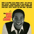 SAM COOKE̋/VO - Nothing Can Change This Love