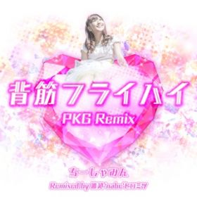 背筋フライハイ PKG Remix / ちーしゃみん