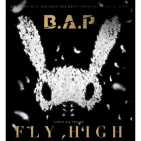 Ao - FLY HIGHType-A / BDADP