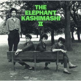 Ao - THE ELEPHANT KASHIMASHI II / Gt@gJV}V