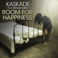 Ao - Room For Happiness (featD Skylar Grey) / Kaskade