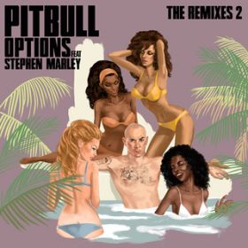 Options (Damaged Goods Remix) feat. Stephen Marley / Pitbull