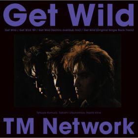 GET WILD (techno overdub mix) / TMN