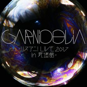 ambiguous LIVE verD `XAj!LIVE 2017 in  ف` / GARNiDELiA