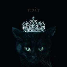アルバム - BEST SELECTION "noir" / Aimer