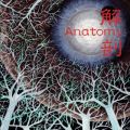 Ao - U / Anatomy