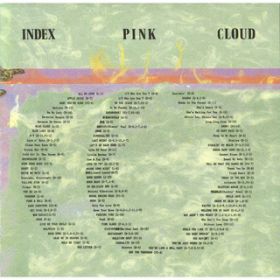 MY DELICATE ONE / PINK CLOUD