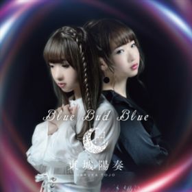 Ao - Blue Bud Blue / zt