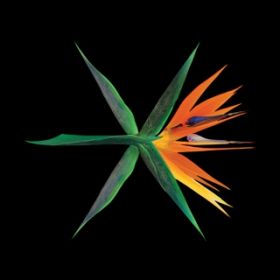 Ao - THE WAR (Chinese verD) - The 4th Album / EXO
