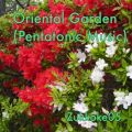 Ao - Oriental Garden (Pentatonic Music) / Zukkoke05