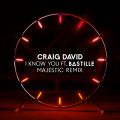 Craig David̋/VO - I Know You (Majestic Remix) feat. Bastille
