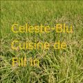 Ao - Cuisine de Fill in / Celeste-Blu