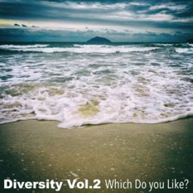 Ao - Diversity VolD2 Which Do You LikeH / Various Artists