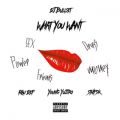 DJ BULLSET̋/VO - What You Want (feat. RAU DEF & Young Yujiro)