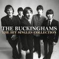 Ao - The Hit Singles Collection / The Buckinghams