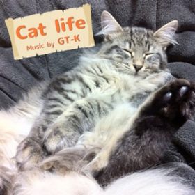 Cat life (mizutama Remix) / GT-K