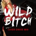 Ao - WILD BITCH -OVER DRIVE- / Party Town