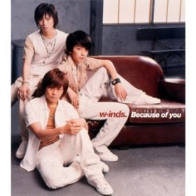 Because of you-Instrumental- / w-inds.