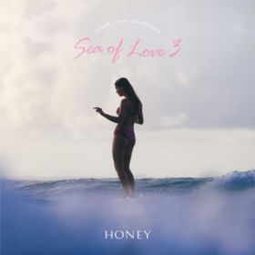 Ao - HONEY meets ISLAND CAFE -Sea of Love 3 - / Various Artists