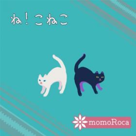 !˂ / momoRoca