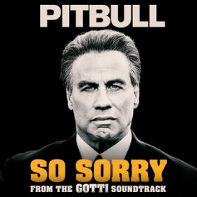 So Sorry / Pitbull