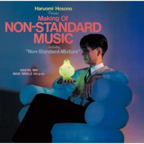 Ao - MAKING OF NON-STANDARD MUSIC / ז쐰b