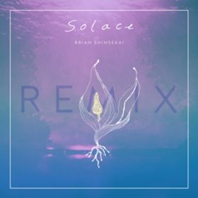 Solace (LEOJI Remix) / BRIAN SHINSEKAI
