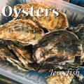 Ao - Oysters / Jerryfish