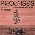 Calvin Harris^Sam Smith̋/VO - Promises