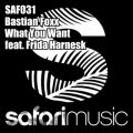 Ao - What You Want [featD Frida Harnesk] / Bastian Foxx