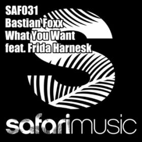 What You Want (Danny Merx Festival Dub) [featD Frida Harnesk] / Bastian Foxx