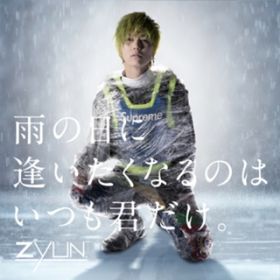 J̓ɈȂ̂͂NB Instrumental / ZYUND