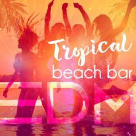 Ao - Tropical Beach Bar EDM / Various Artists