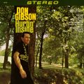 Ao - Hurtin' Inside / Don Gibson