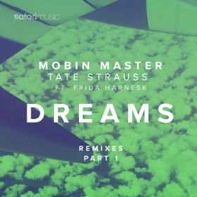 Dreams (Tribal Funk Remix) [featD Frida Harnesk] / Mobin Master  Tate Strauss