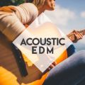 Acoustic EDM - xɒAR[XeBbNJo[EDM-