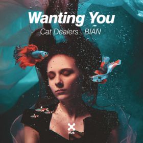 Ao - Wanting You / Cat Dealers^BIAN