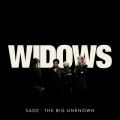 Sade̋/VO - The Big Unknown (From hWidowsh)