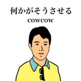  / COWCOW