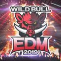 Ao - Wild Bull EDM 2019 / SME Project  #musicbank