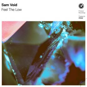Feel The Low( Extended Mix) / Sam Void