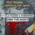 Own The Night (Alex Guesta Remix) [featD Shaggy  GrooveGalore Muzik]