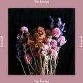 Ao - bouquet / The Sunnys