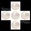 Niiro_Epic_Psy̋/VO - nerve