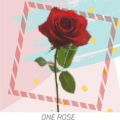 MASEraaaN̋/VO - One rose