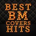 Ao - BEST BM COVER HITS / DJ SAMURAI SERVICE Production