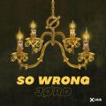 J RD̋/VO - So Wrong