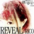 Ao - REVEAL / RiCO
