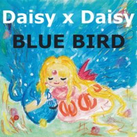 BLUE BIRD / Daisy~Daisy